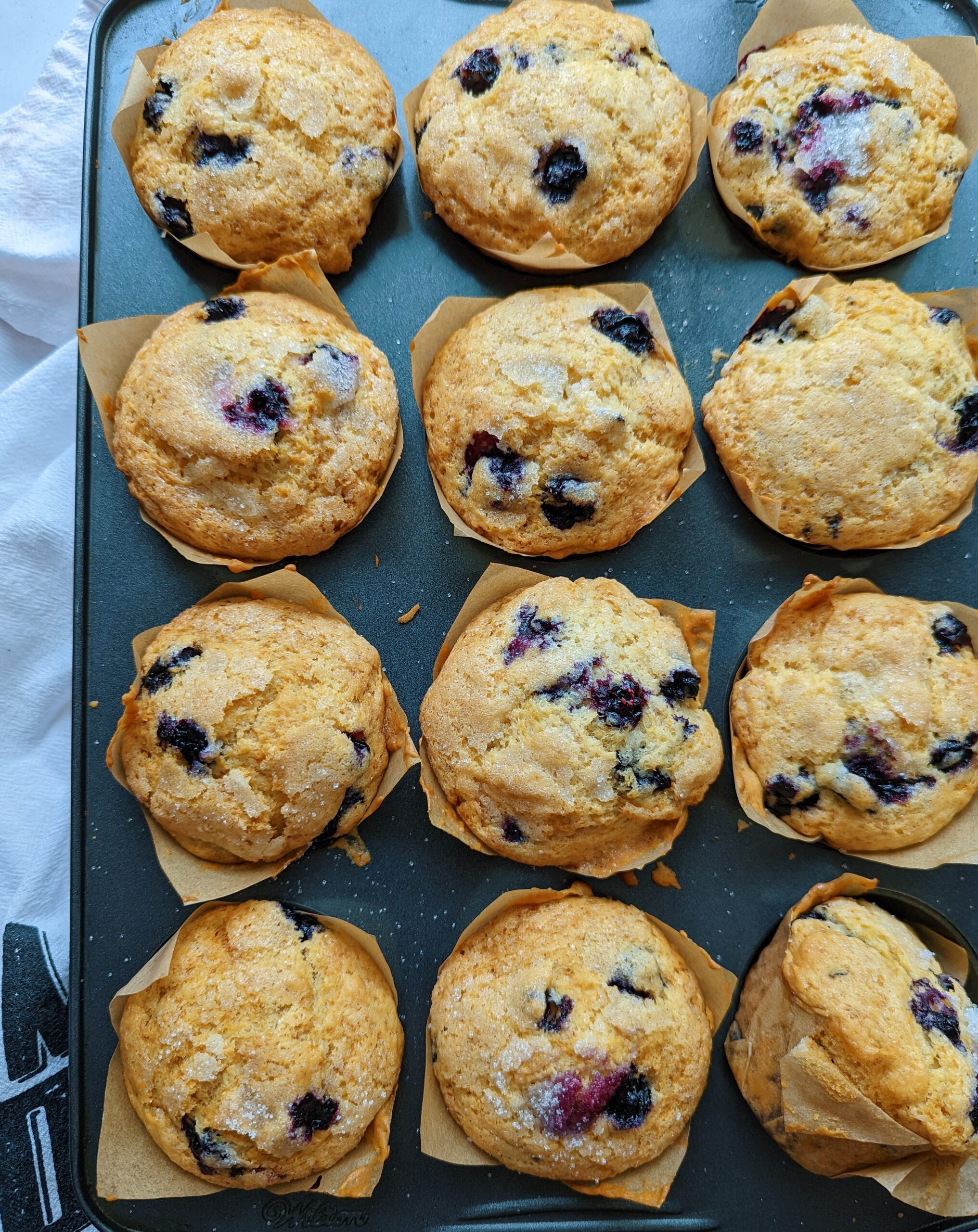 Muffins de Blueberries y Limón